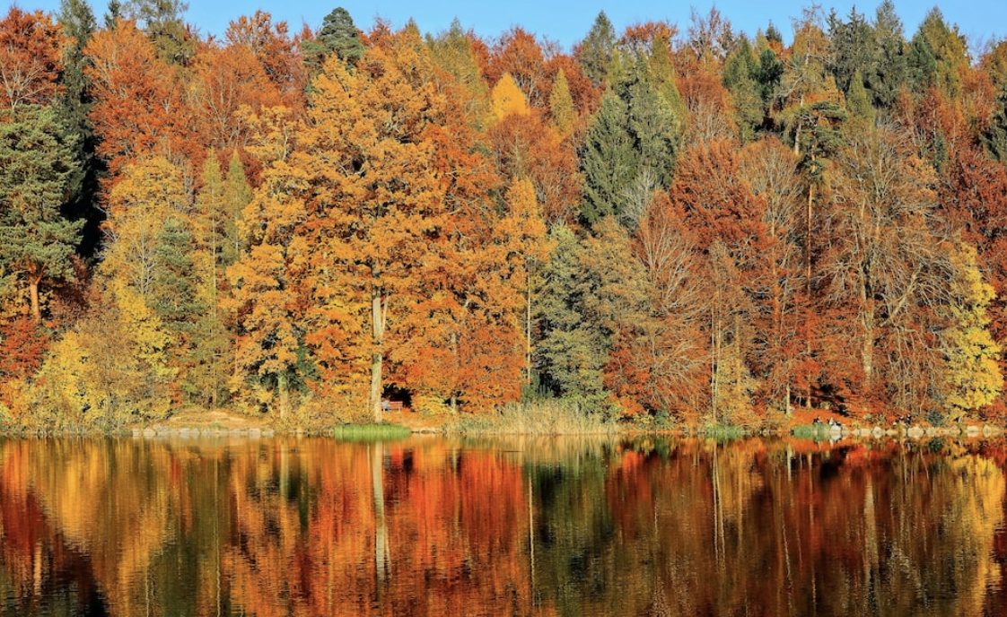 Hurry and Secure Your Rental Before Winter Hits!